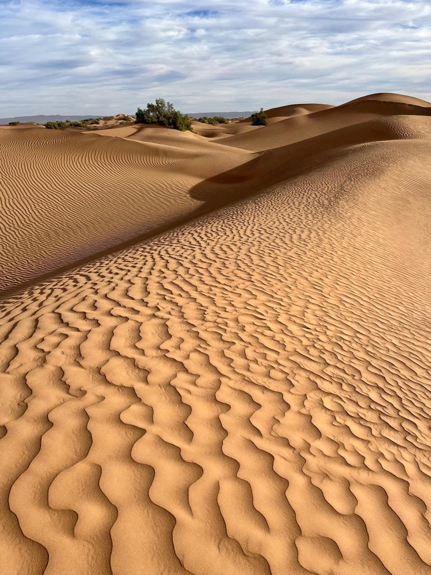 Desert Chegaga Luxury Camp El Gouera Dış mekan fotoğraf