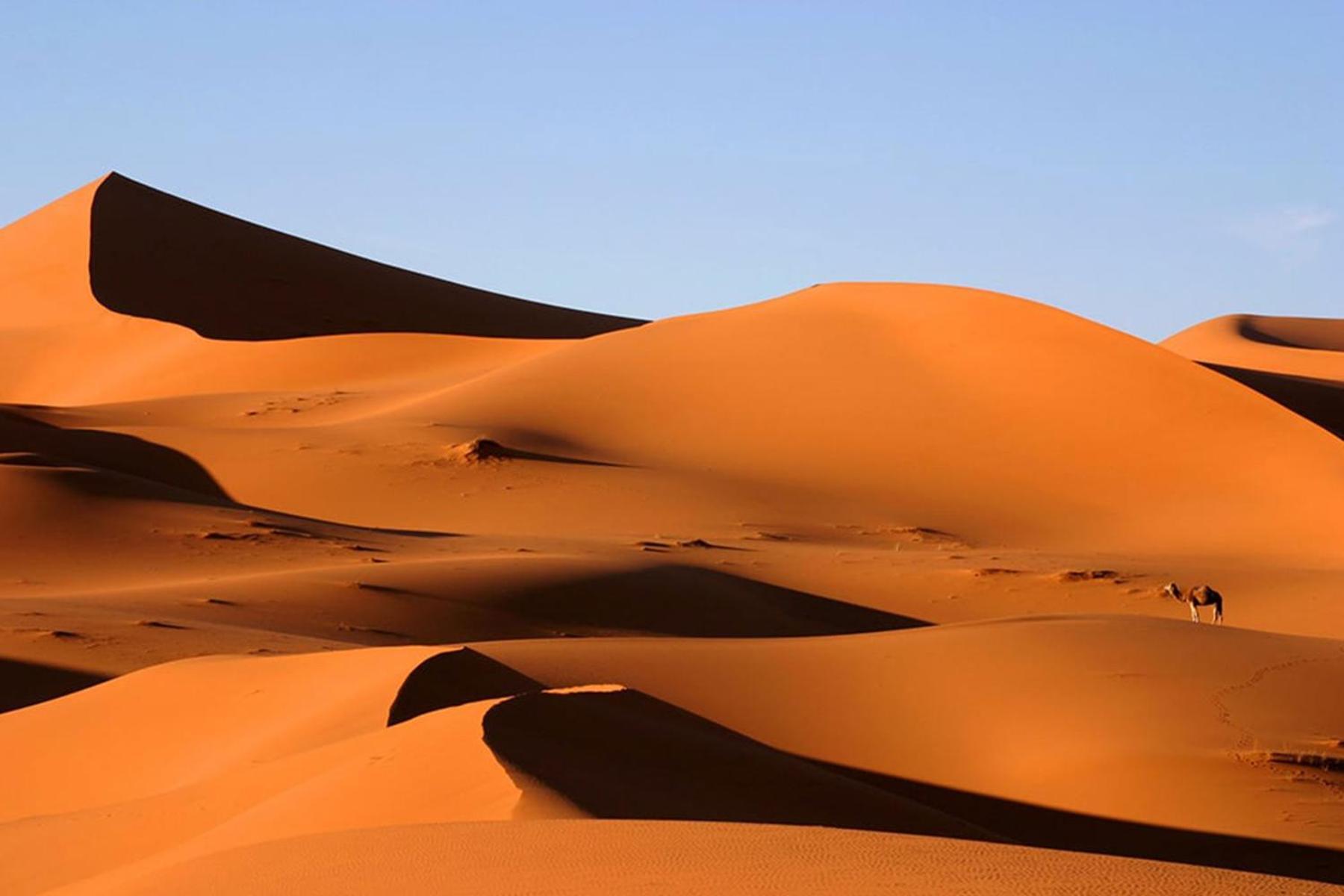 Desert Chegaga Luxury Camp El Gouera Dış mekan fotoğraf